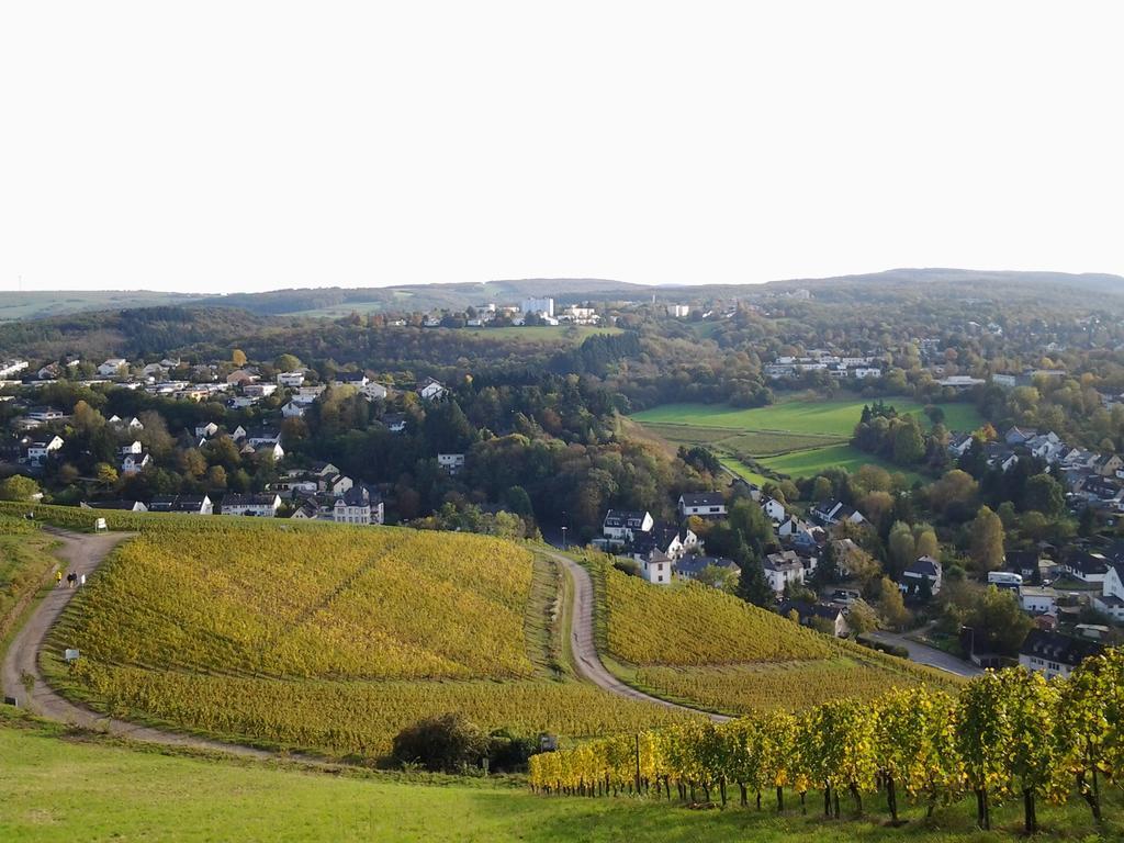 Апартаменты Saar-Mosel-Tal Конц Экстерьер фото